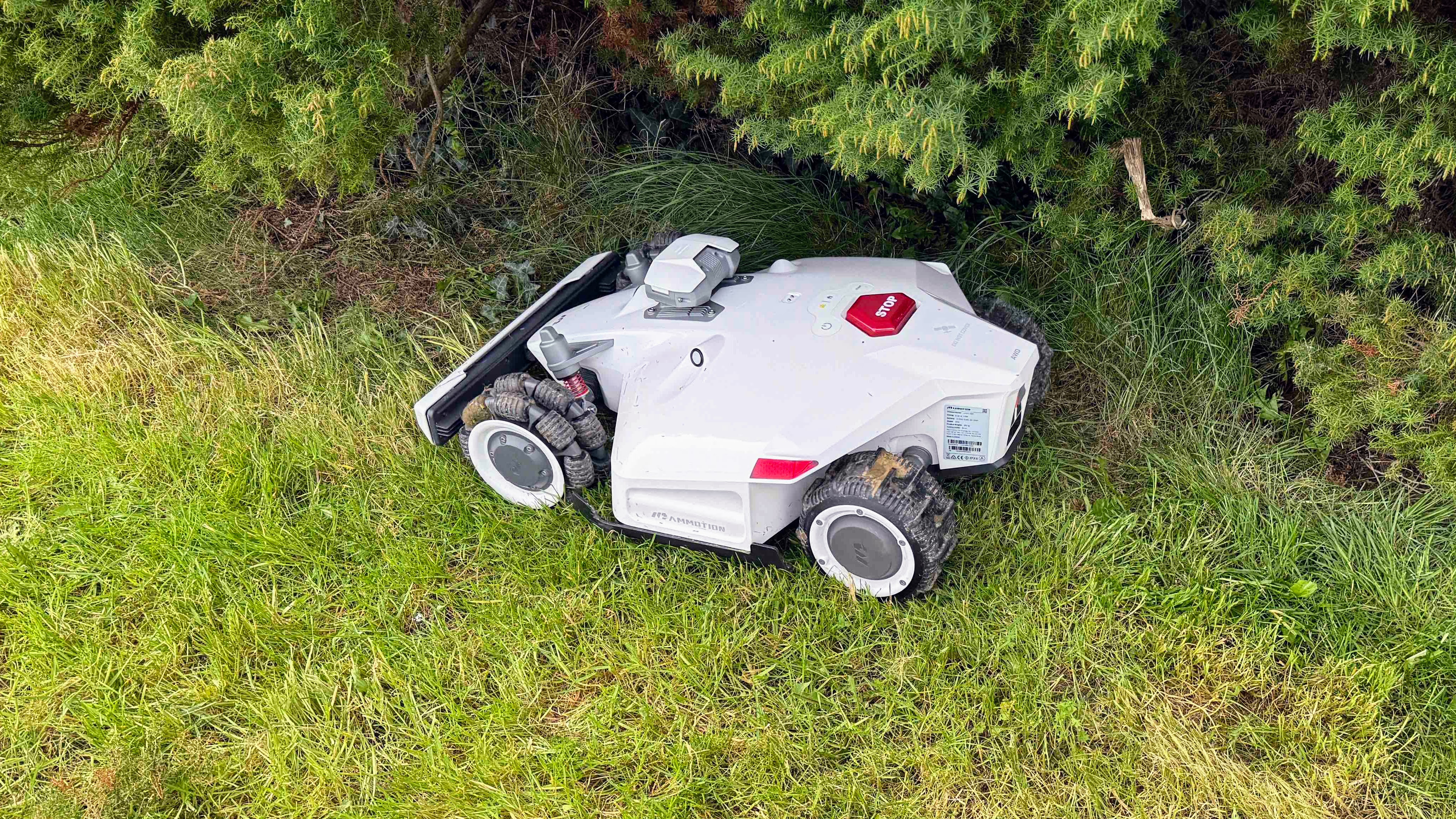 Mammotion LUBA 2 AWD 5000H Robot Lawn Mower being tested in writer's home