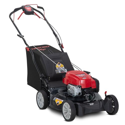 XP 21 in. 163 cc Briggs and...