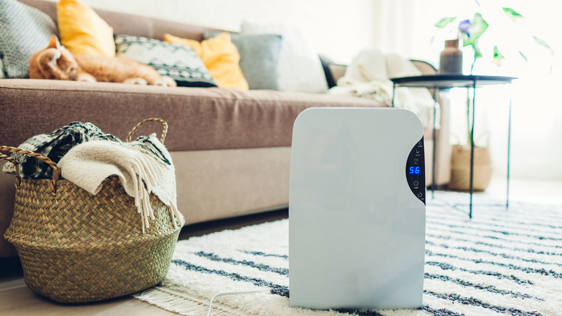 What is an ozone generator? 