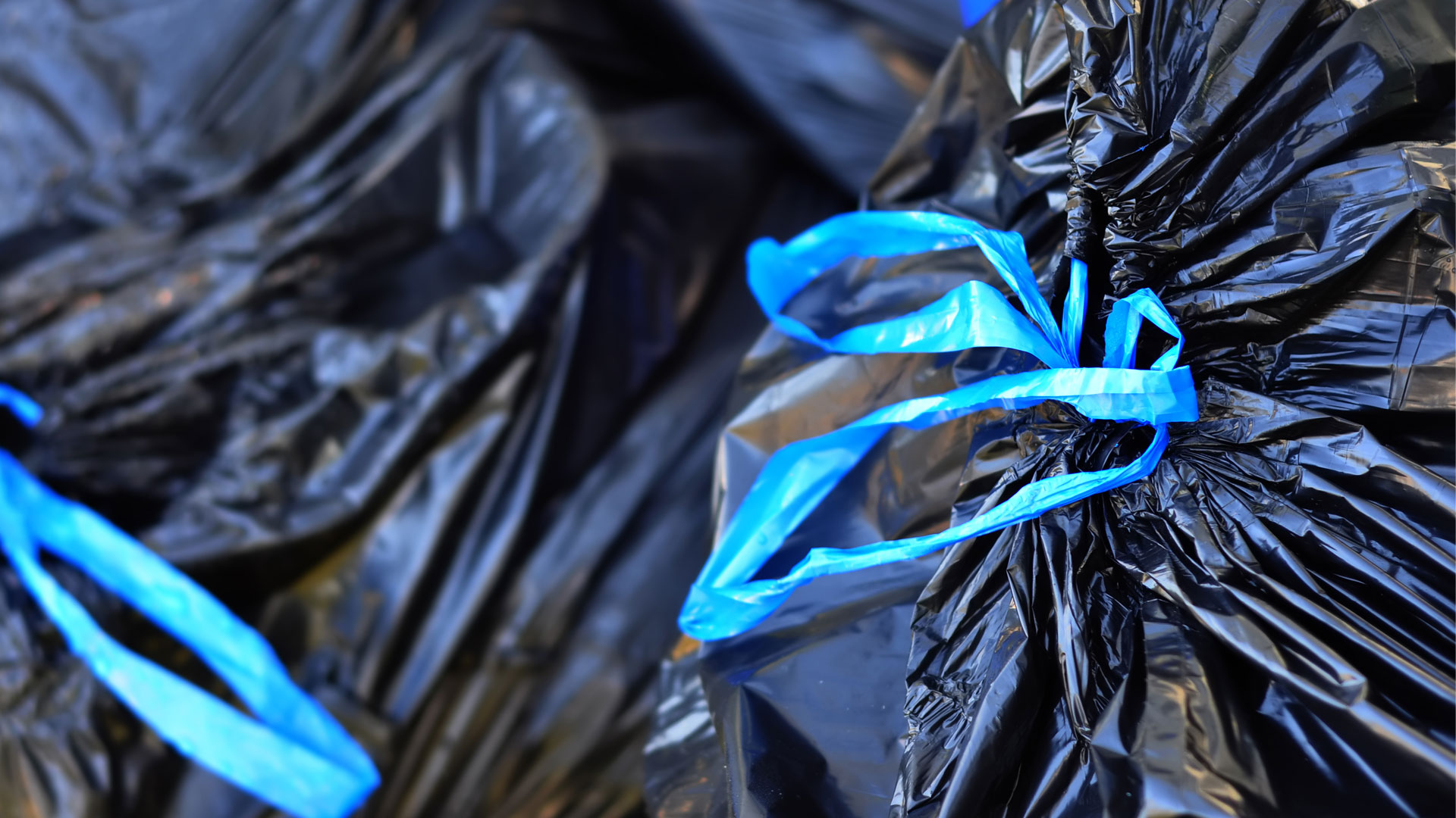 Best trash compactors 2025