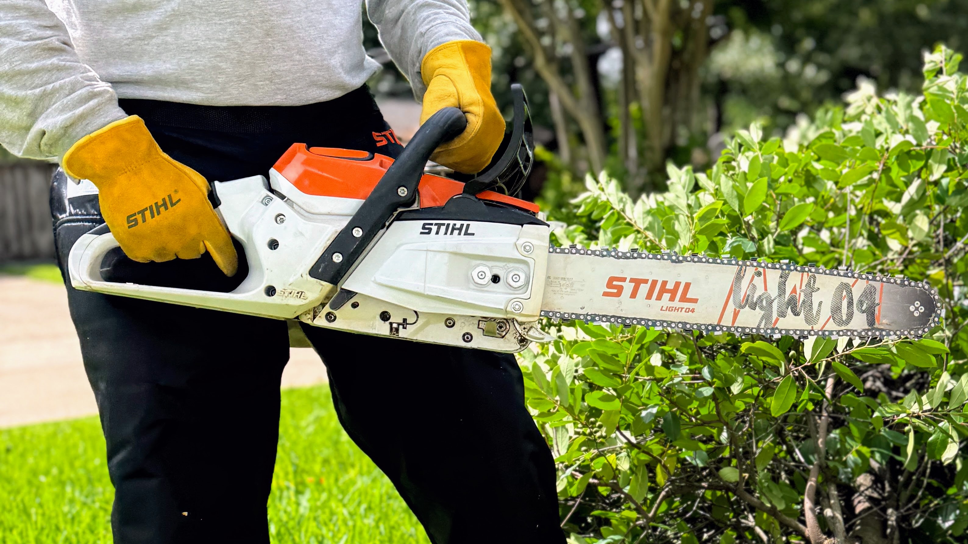 Man holding a STIHL MSA 300 C chainsaw  in front of a felled tree
