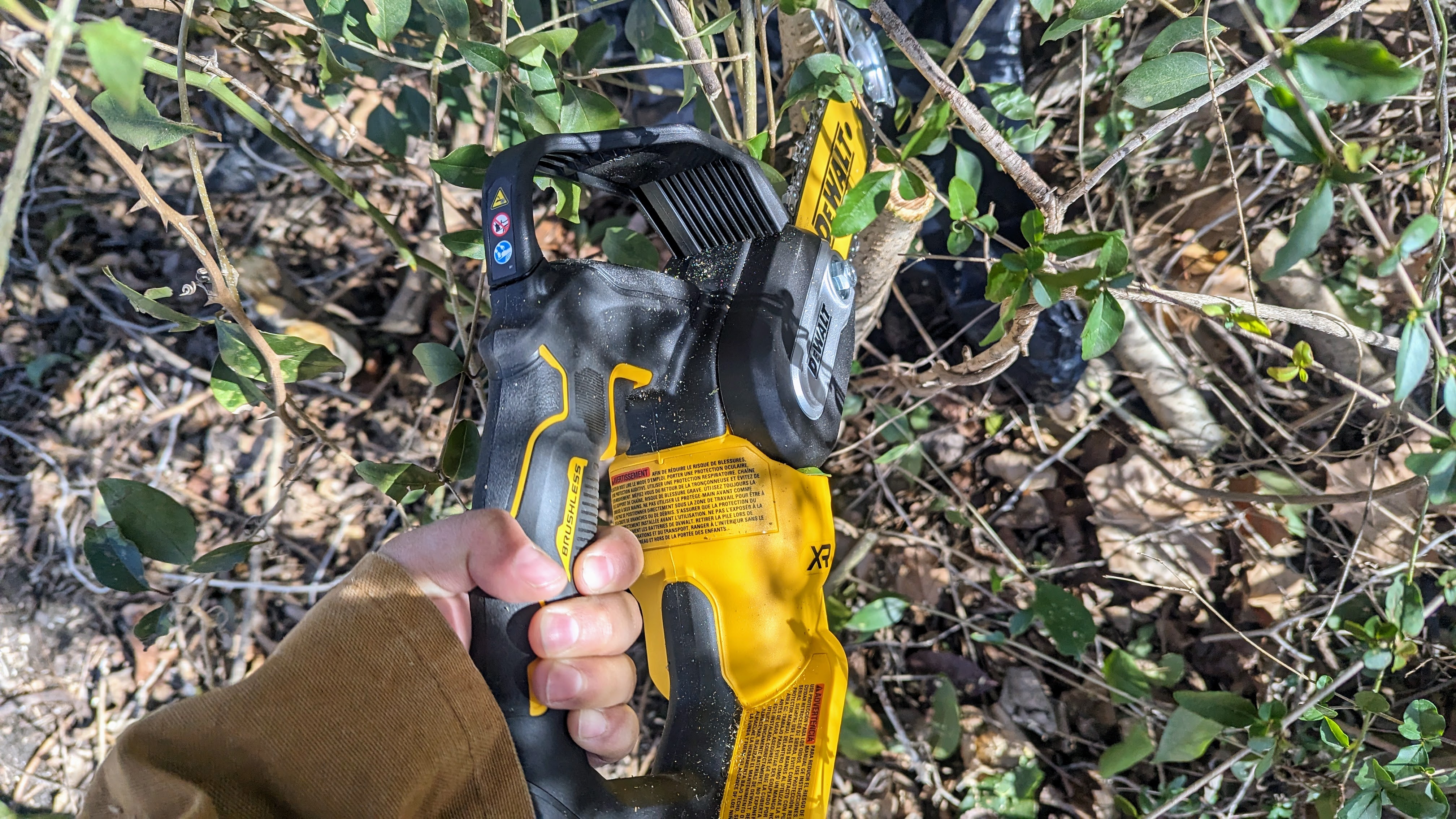 DeWalt DCCS623B 20V MAX 8 in. Brushless Cordless Battery Powered Pruning Chainsaw being tested in writer's home