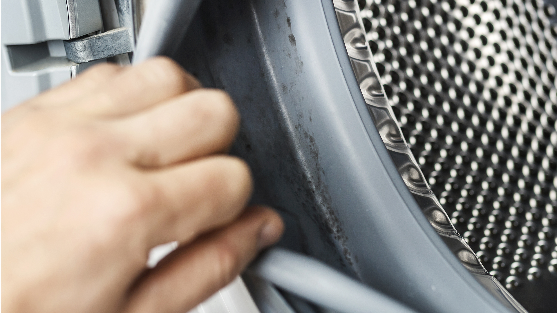 Person holding back the rubber drum of the washing machine to show the mold.